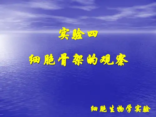 细胞生物学实验 细胞骨架的观察【精选】