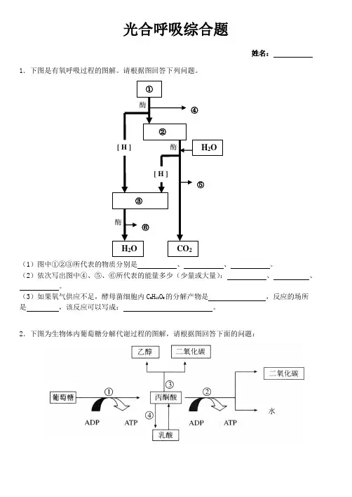 (完整版)光合呼吸综合题及答案