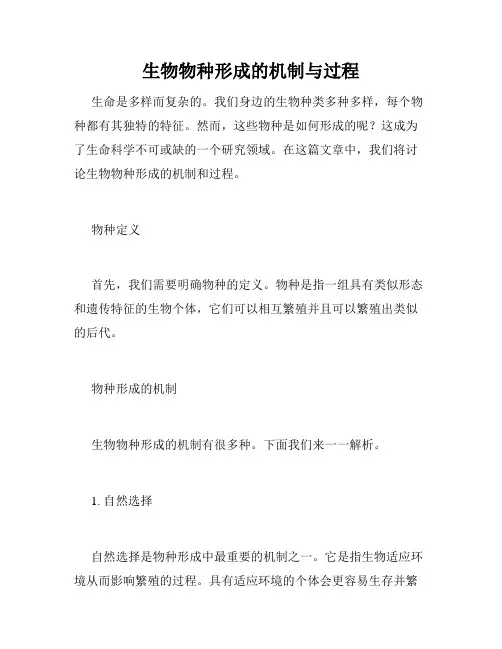 生物物种形成的机制与过程