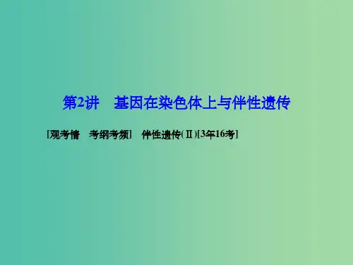 高考生物一轮复习 2.2基因在染色体上与伴性遗传课件 新人教版必修2