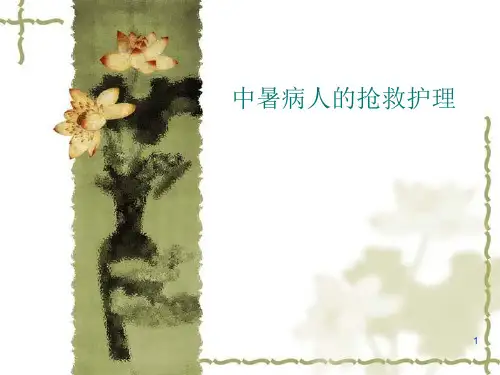 中暑病人的急救护理精品PPT课件