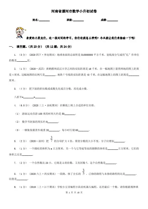 河南省漯河市数学小升初 试卷