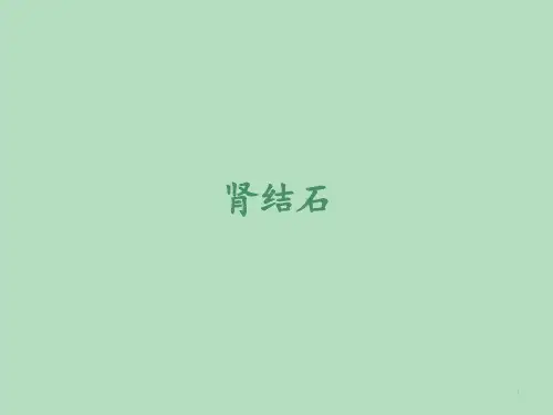肾结石超声诊断及鉴别