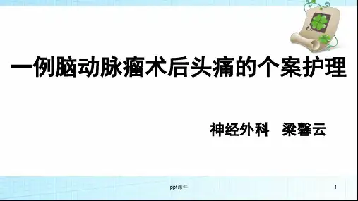 一例动脉瘤头痛的个案护理  ppt课件
