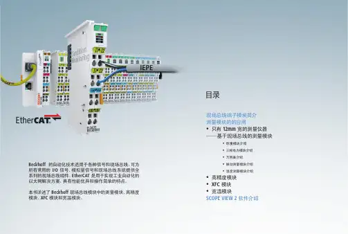 Beckhoff测量模块