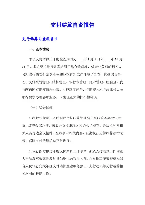 支付结算自查报告