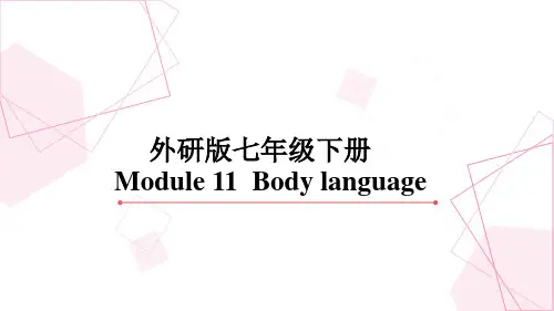 Module11【复习课件】七年级英语下册单元复习(外研版)