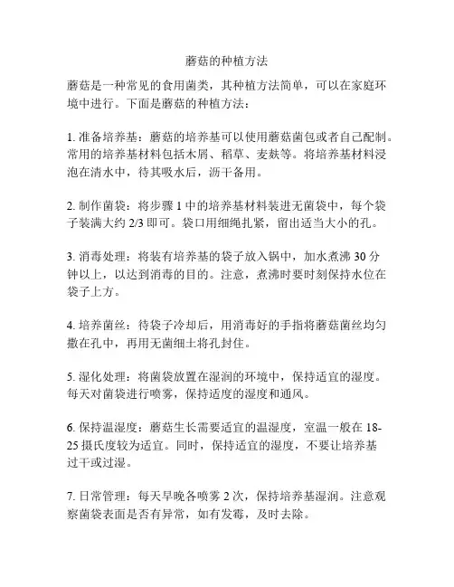 蘑菇的种植方法