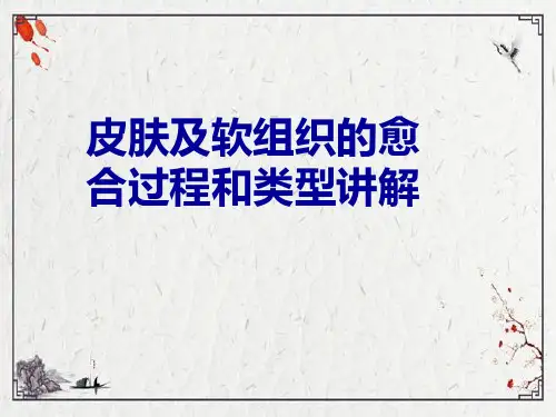 皮肤及软组织的愈合过程和类型讲解