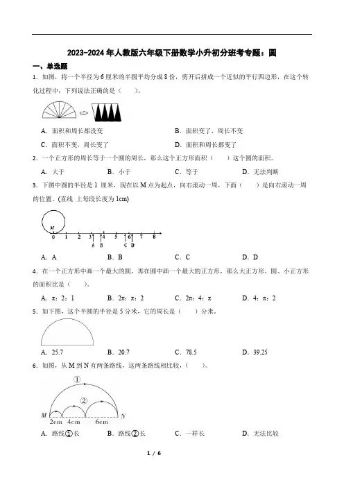 2023-2024年人教版六年级下册数学小升初分班考专题：圆