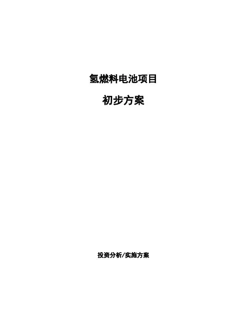 氢燃料电池项目初步方案