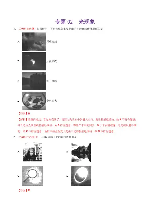 专题02 光现象(第01期)-2019年中考真题物理试题分类汇编(解析版)