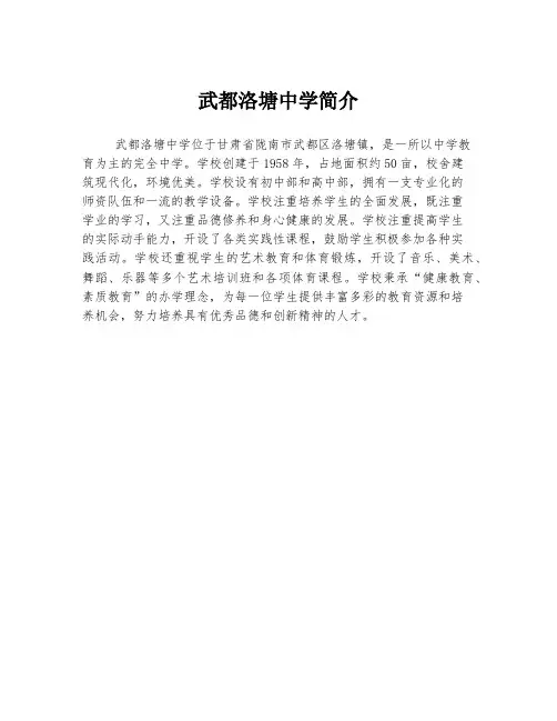 武都洛塘中学简介