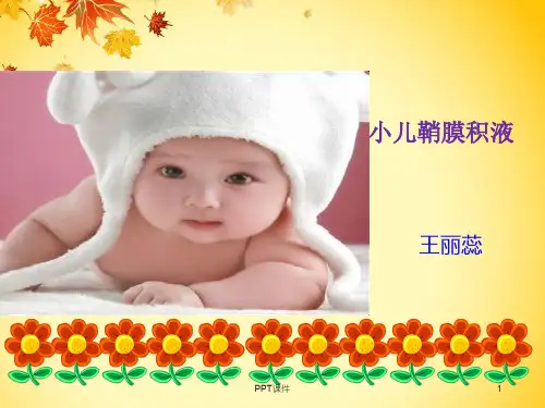 小儿鞘膜积液  ppt课件