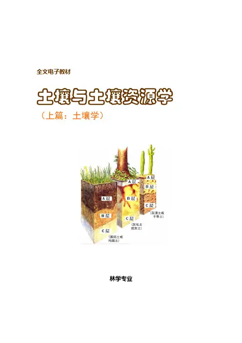 土壤学第二章 岩石风化和土壤形成及土壤剖