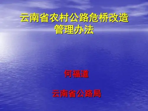 云南省农村公路危桥改造管理办法-文档资料