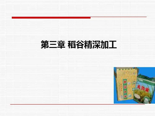 稻谷精深加工汇总