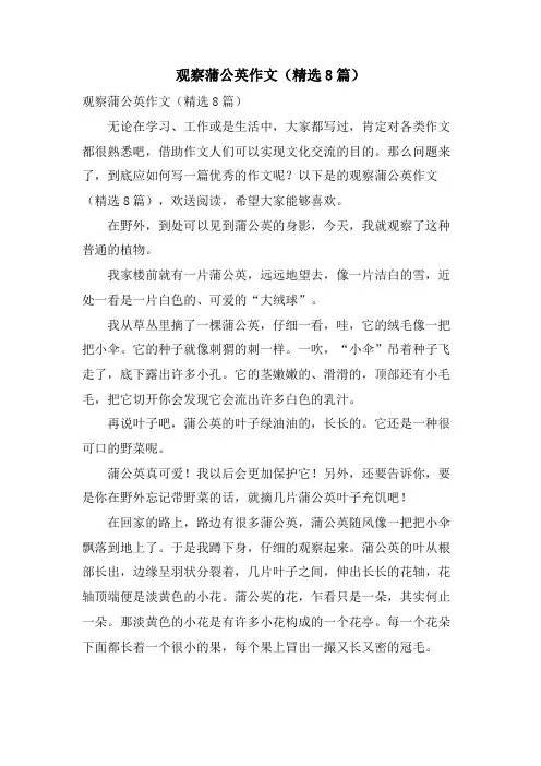 观察蒲公英作文(8篇)
