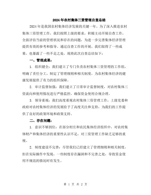 2024年农村集体三资管理自查总结