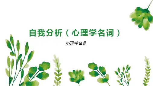 自我分析(心理学名词)