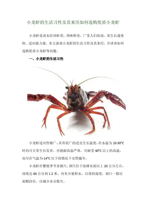 小龙虾的生活习性及其来历 如何选购优质小龙虾