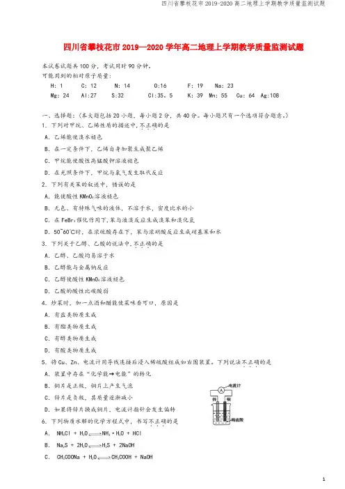 四川省攀枝花市2019-2020高二地理上学期教学质量监测试题
