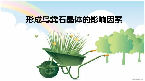 鸟粪石