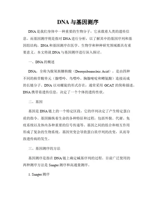 DNA与基因测序