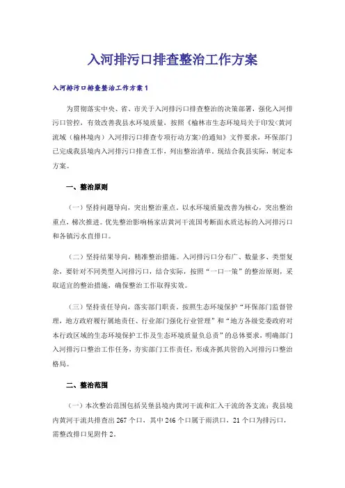 入河排污口排查整治工作方案