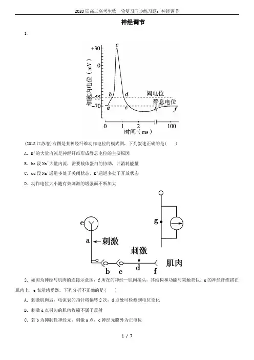 2020届高三高考生物一轮复习同步练习题：神经调节