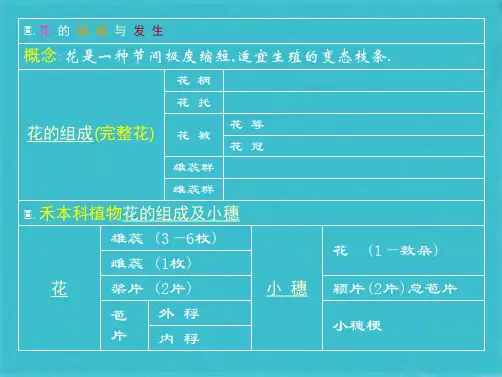 水稻的花结构(共34张PPT)