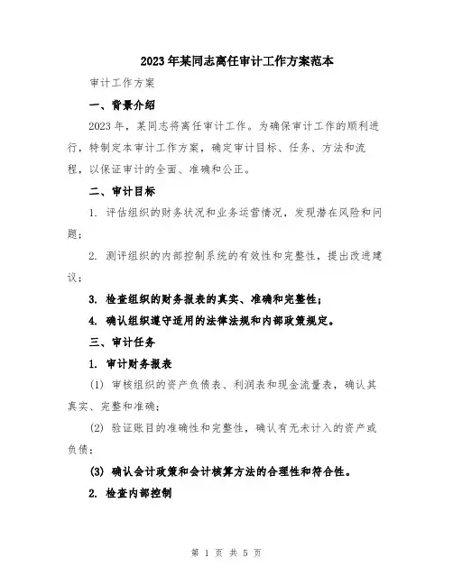 2023年某同志离任审计工作方案范本