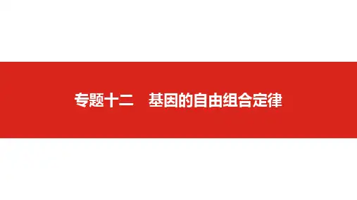 2019版高考生物一轮复习名师课件：第五单元专题十二 基因的自由组合定律 (共87张PPT)