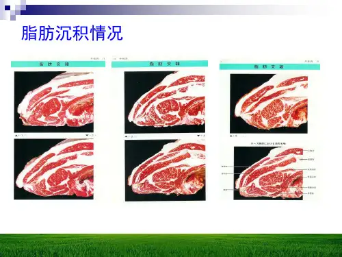 第十章 饲料营养价值的评定