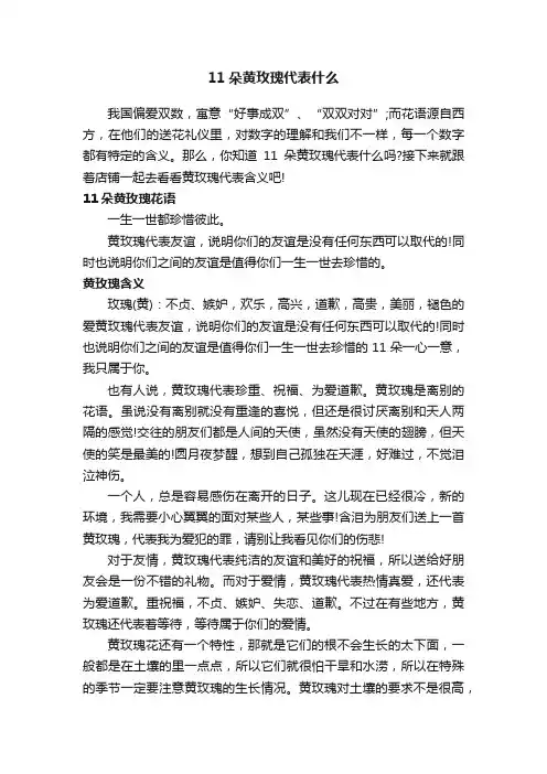11朵黄玫瑰代表什么