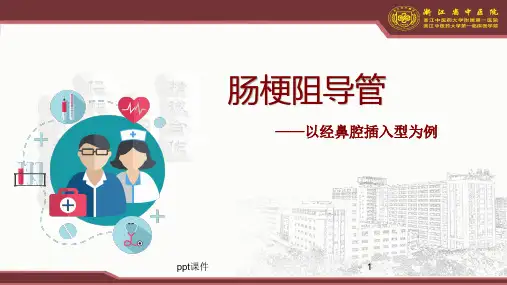 肠梗阻导管  ppt课件