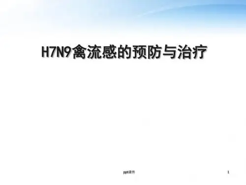 H7N9禽流感的预防与治疗  ppt课件