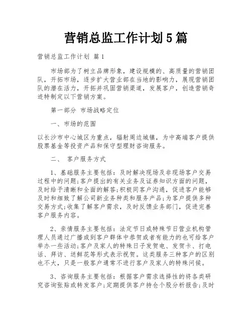 营销总监工作计划5篇