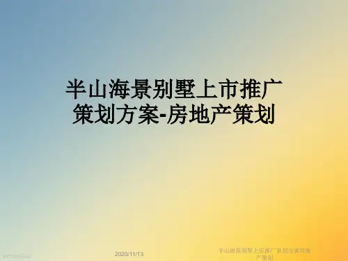 半山海景别墅上市推广策划方案房地产策划