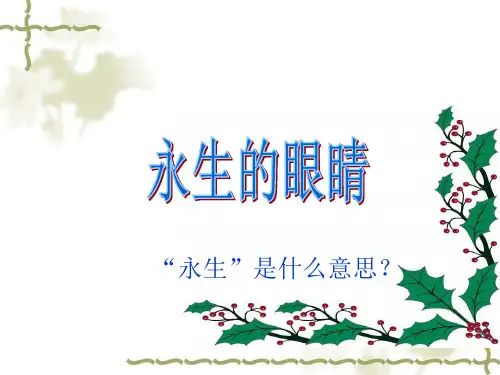 永生的眼睛完美精品PPT课件