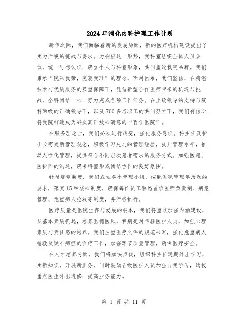 2024年消化内科护理工作计划（六篇）