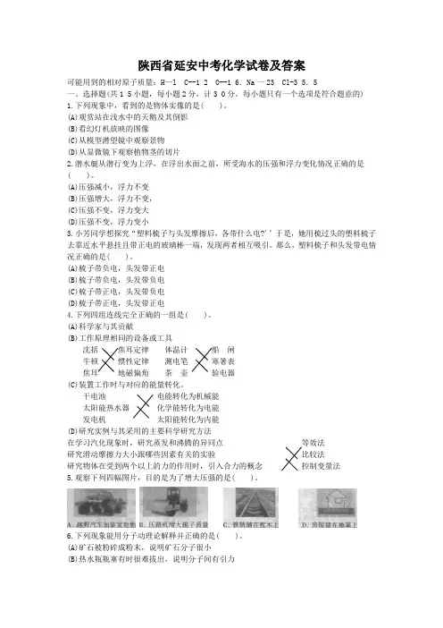 陕西省延安中考化学试卷及答案