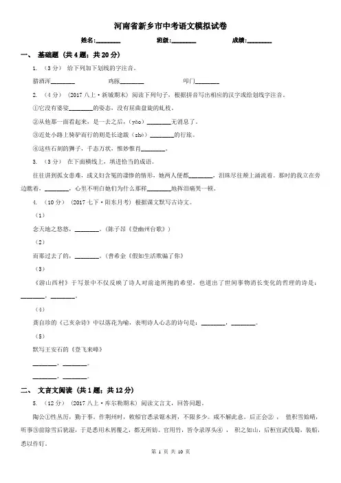 河南省新乡市中考语文模拟试卷