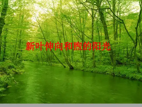 人教版高中生物必修一细胞的能量通货ATP课件ppt