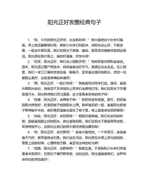 阳光正好发圈经典句子