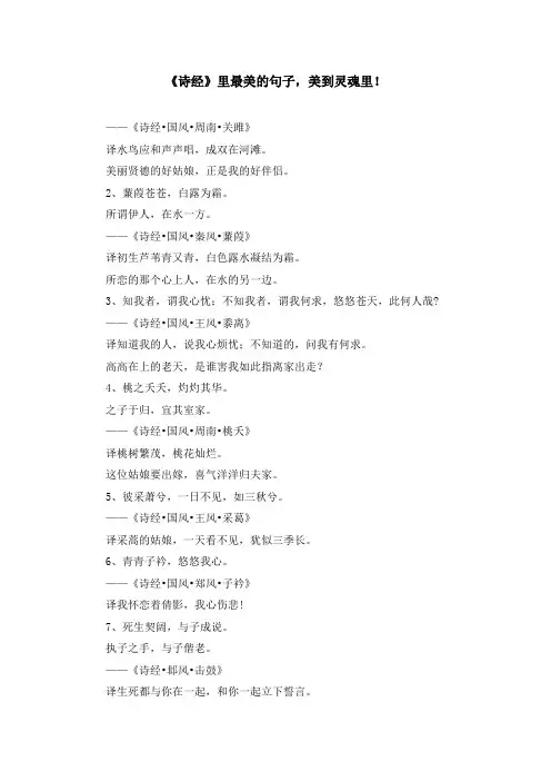 少儿综合素质训练-《诗经》里最美的句子美到灵魂里! 精品