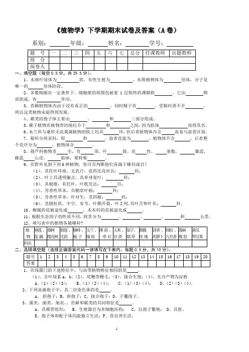 《植物学》下学期期末试卷及答案(A卷)