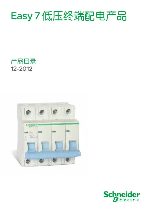 施耐德Easy7低压终端配电产品产品目录
