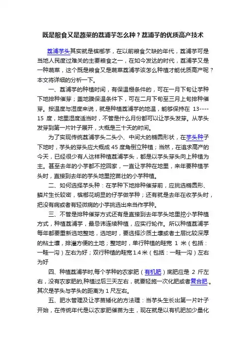 既是粮食又是蔬菜的荔浦芋怎么种？荔浦芋的优质高产技术