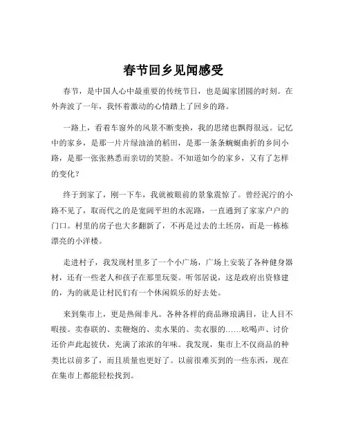 春节回乡见闻感受